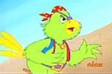 Pirate_Parrot-3